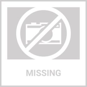 Pet Life 'Grazer' Handheld Travel Grooming Cat And Dog Flea And Tick Comb (Color: Green)