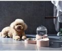Large Pet Feeder Automatic Drinking Fountain and Food Bowl Pet Water Dispenser with Mouth Separator